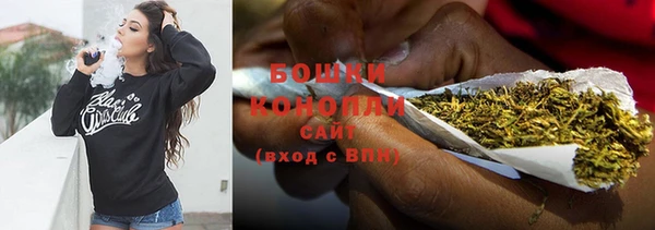 гидра Бронницы