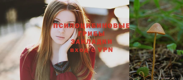 мет Бородино