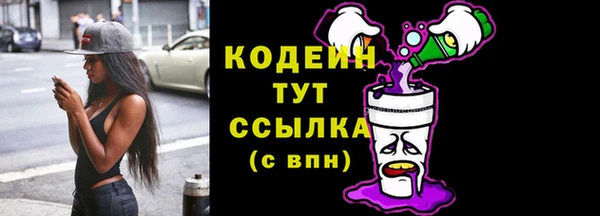 МДПВ Снежногорск