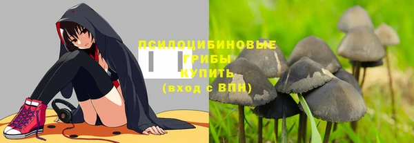 ПСИЛОЦИБИНОВЫЕ ГРИБЫ Богородицк