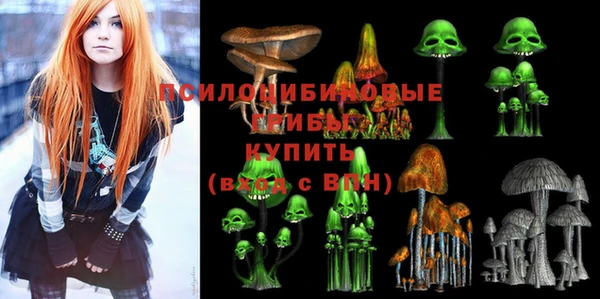 гидра Бронницы