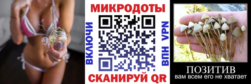 Галлюциногенные грибы Cubensis Ейск